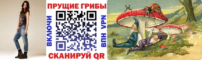 купить  цена  Энгельс  Псилоцибиновые грибы ЛСД 